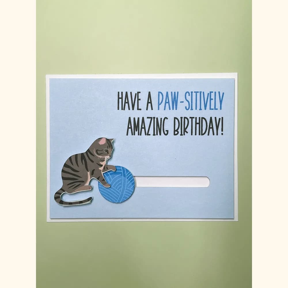 Cat Spinner